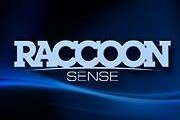 raccoonsense